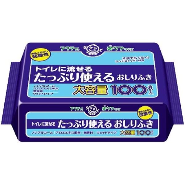 売り切り■大王製紙　エリエール　トイレに流せるおしりふき　2ケース 大王製紙 エリエール トイレに流せるおしりふき 2ケース 大王